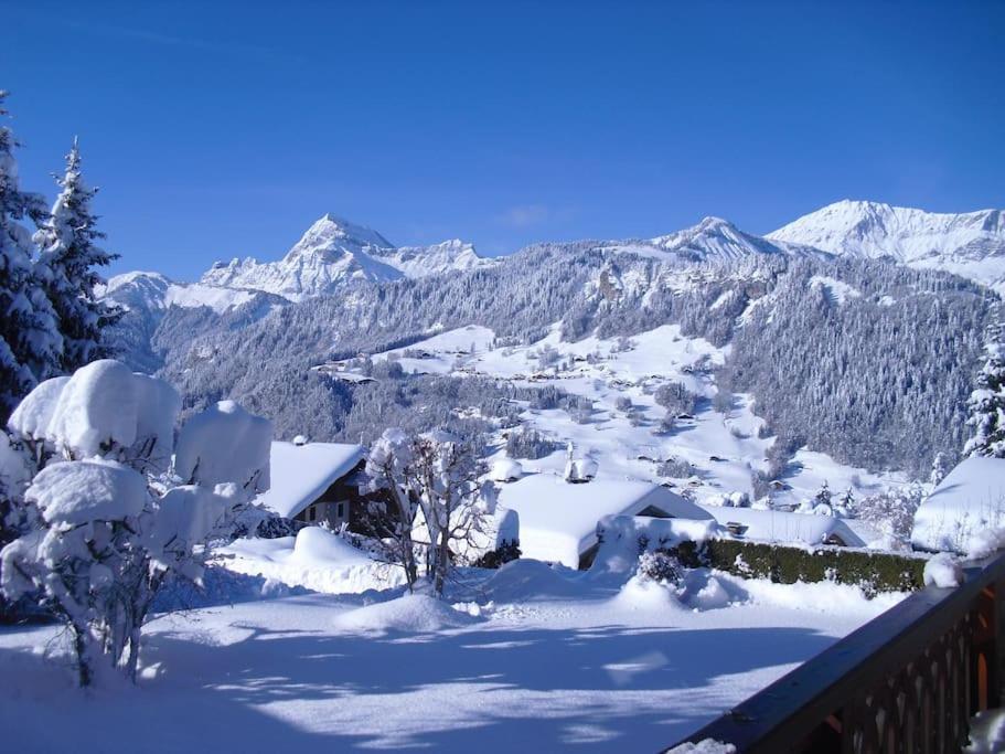 Chalet La Licorne 1 - Pied Des Pistes Нотр-Дам-де-Белькомб Экстерьер фото