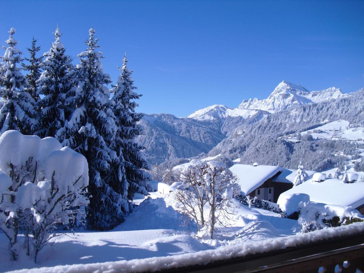 Chalet La Licorne 1 - Pied Des Pistes Нотр-Дам-де-Белькомб Экстерьер фото